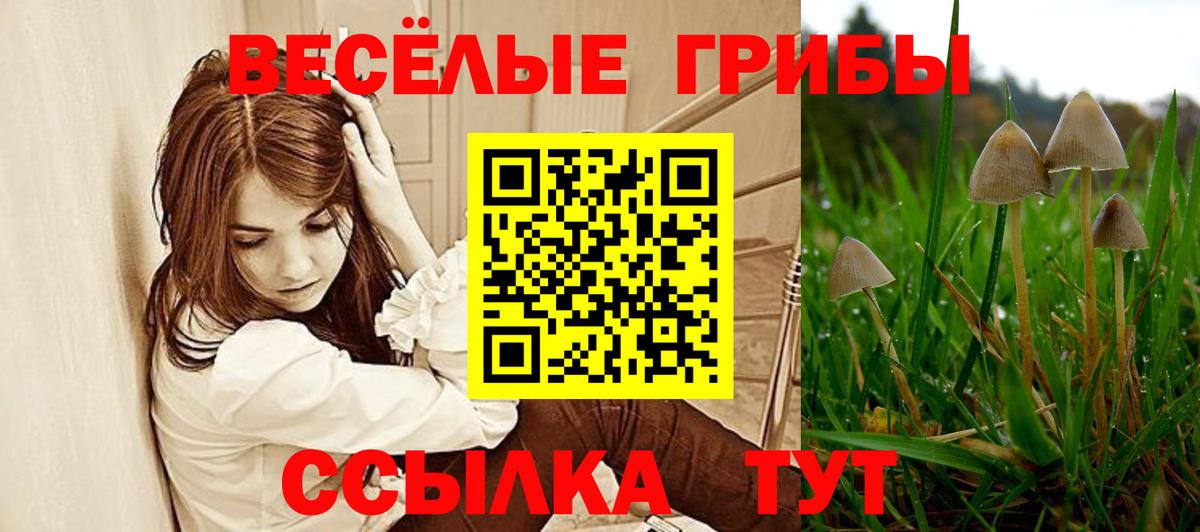 Галлюциногенные грибы мицелий Тихорецк