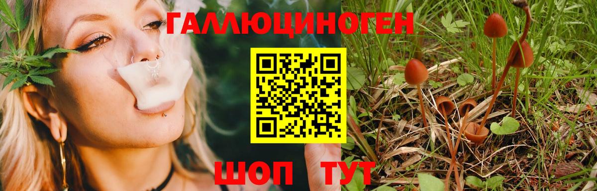 Тихорецк  Галлюциногенные грибы Magic Shrooms  Вход с VPN 